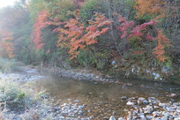 Ͽ����Ĳ�ɫ����