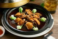 ��Ģ����������