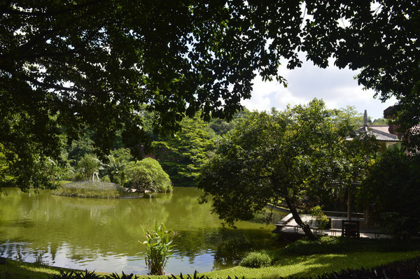 ��Һ������