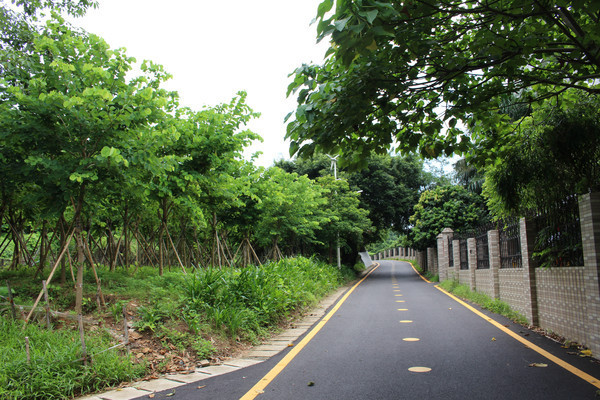 �����̵�