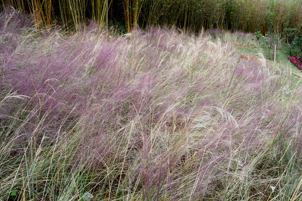 �����ֲ��