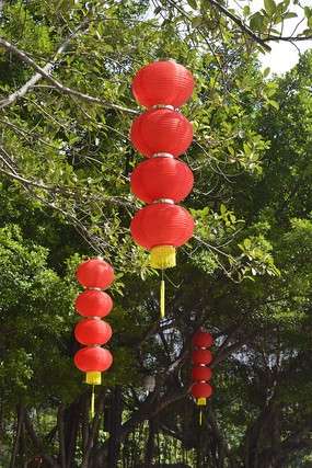 ��ľ�봹���ĺ����