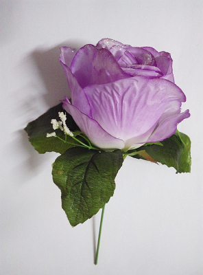 һ����ɫ���� 