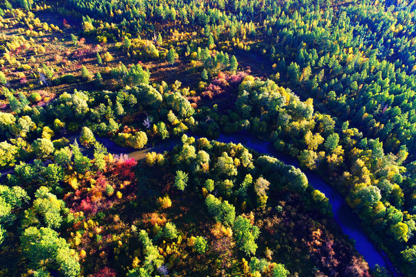 ������ɫ�����ģ�