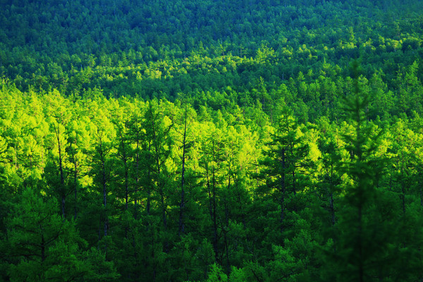 ��ɫ���ֺ�