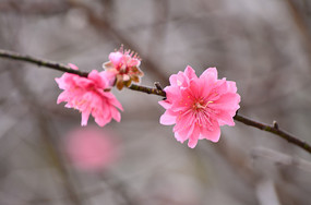 �һ�����