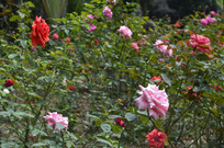 ���µ��¼�