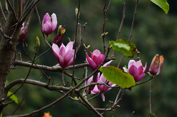 ���ô�����ͼƬ