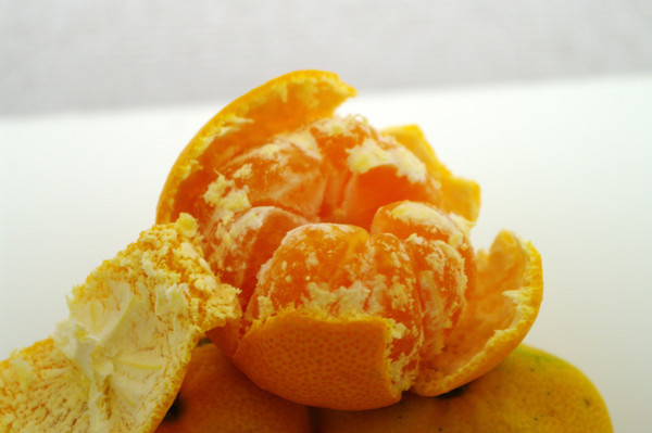 ��Ƥ����