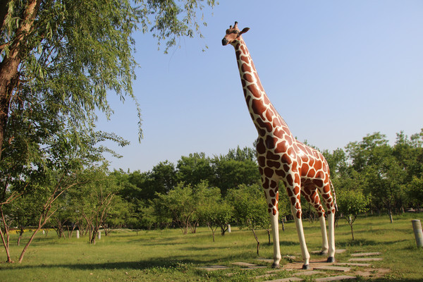 ����¹���