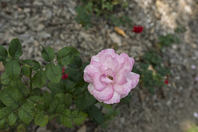 ��ɫ���¼���