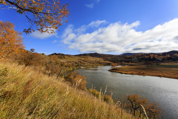 ���Ӻ������