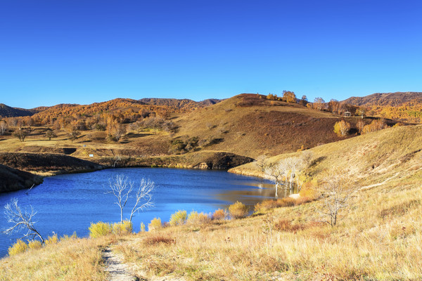 �����＾���