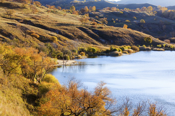 �����＾��д