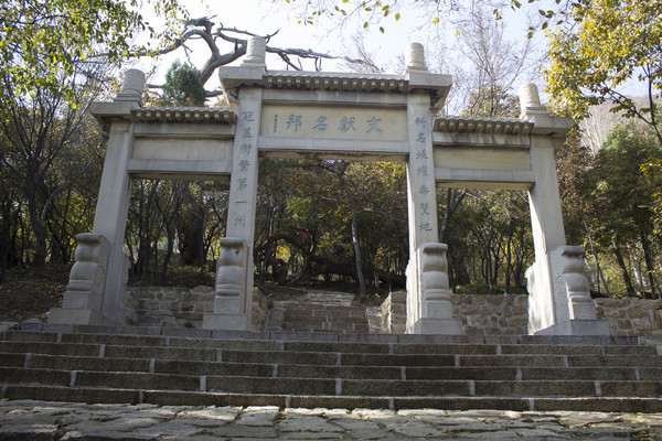 ɽ������