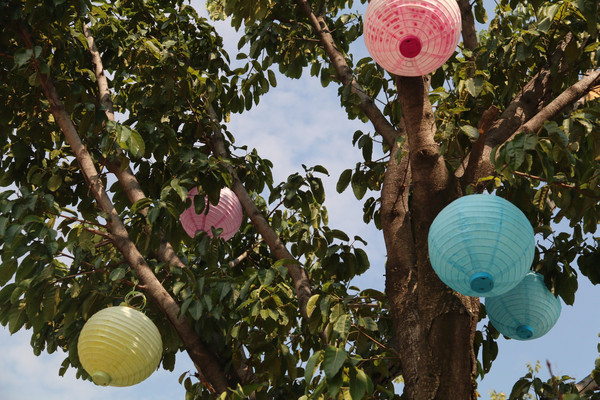 ���Ų�ɫ����������