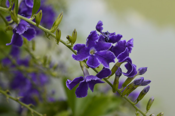 �����̻���