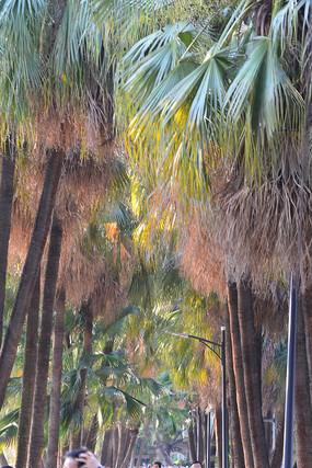 �������羰