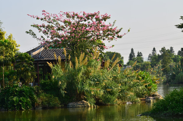 �̵��Ž������ݷ羰