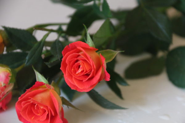 õ�廨΢����д