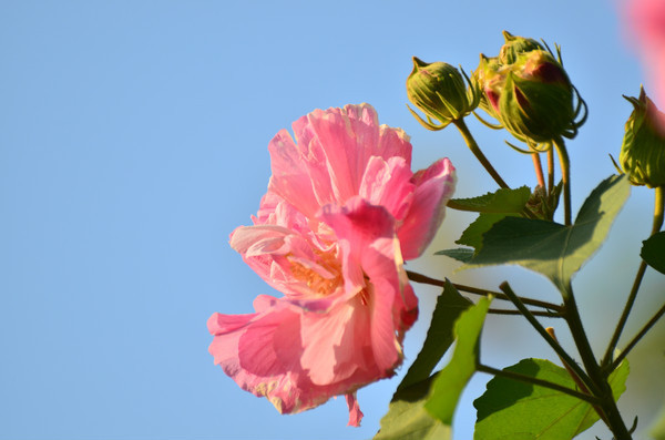 ������ܽ�ػ�