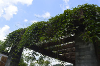 ��ũ��ֲ��