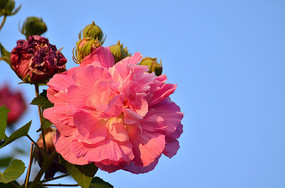 ܽ�ػ�������д