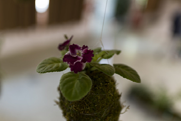 �������ز�