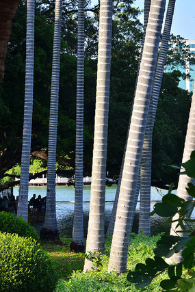 ��ľ���ɷ羰