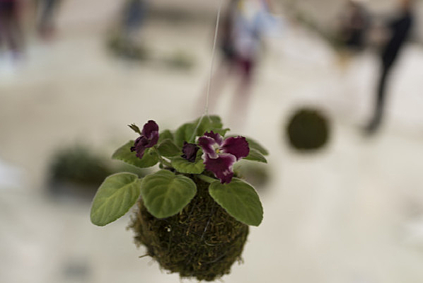 һ�÷���������