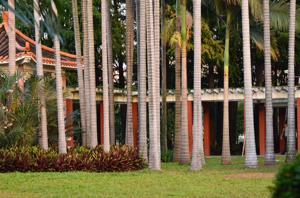 һ����ľ���ɷ羰