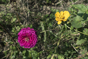 ��ɫ�İ��վ�