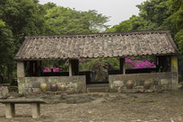 ��ɫ�ķ���