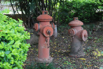 ��԰�������˨