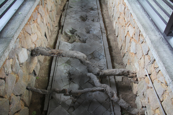 ��������ַ�ж˾���