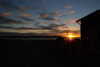 ����Сľ��