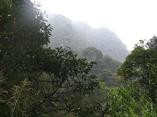 ������Զ����ɽ��