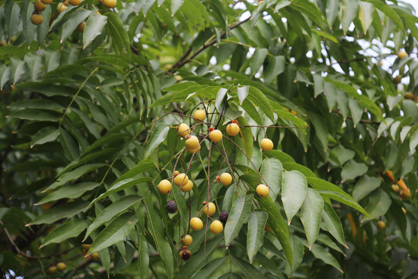 Ǯ���������Ϲ���