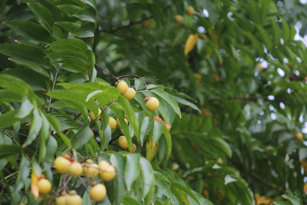 Ǯ���������Ϲ�����д