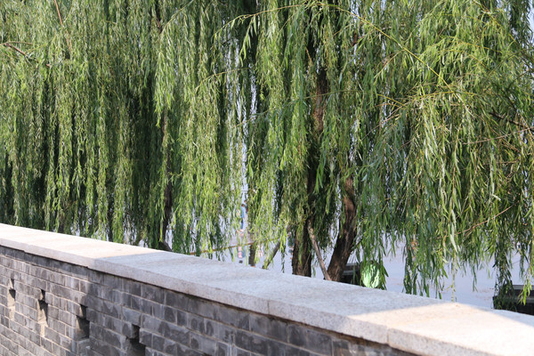 ��שǽ�봹��