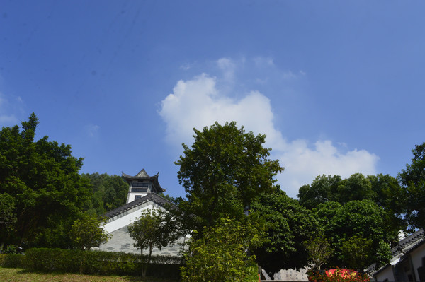 ��ľ��ӳ�����Ϲ�����