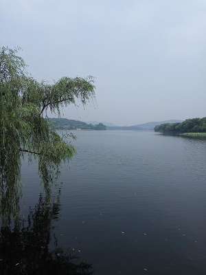 Զ����������