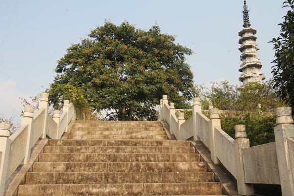 ������԰�ϰ���̨��