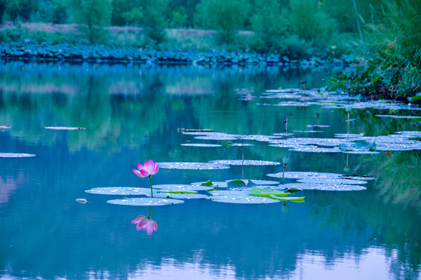 ������ĺɻ�