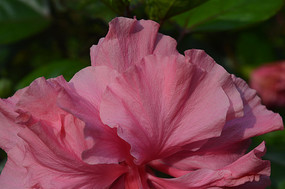 ���ͷ�ɫ�ذ��ɣ�Ļ���