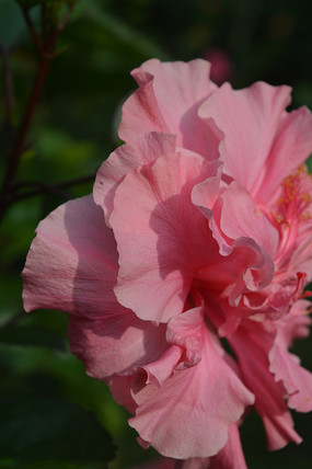 ���ͷ�ɫ�ذ��ɣ������д