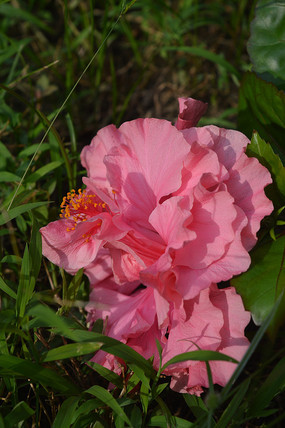 ���ͻ����ɫ�ذ�����