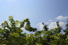 �������ǰ���������