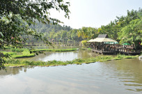 ��԰����