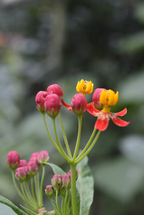 СС���������